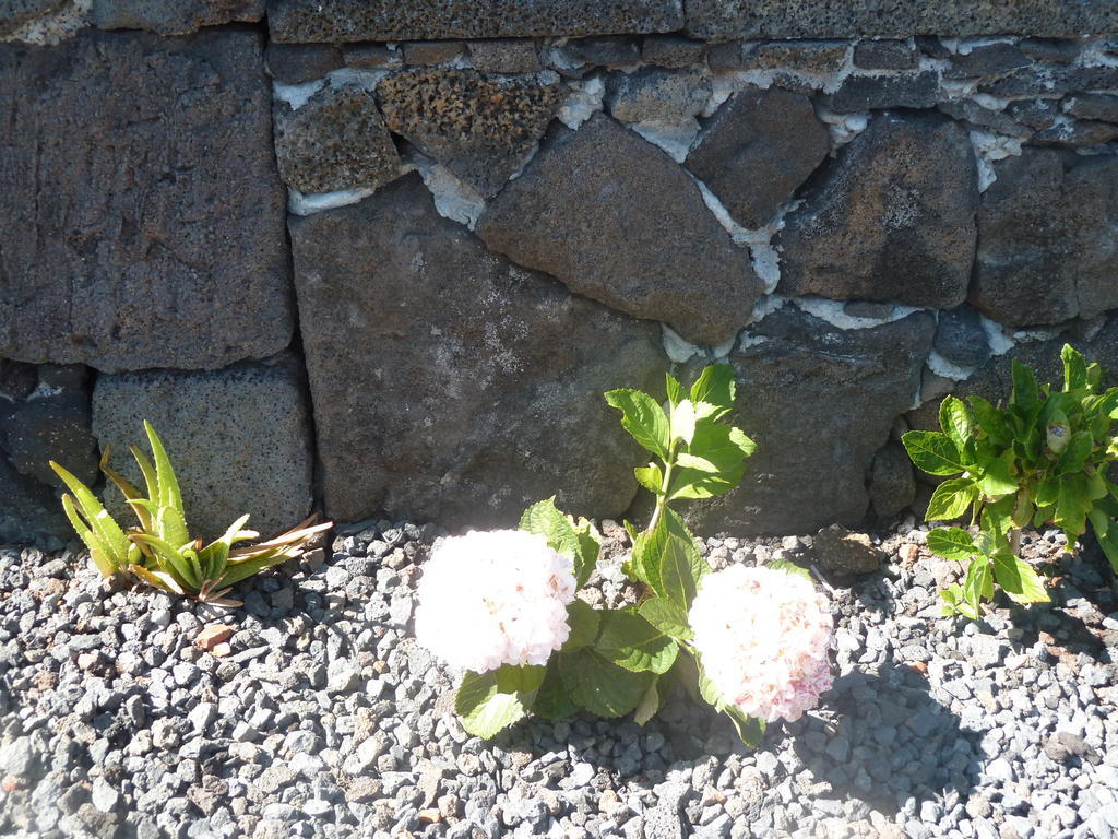 São Roque do Pico Casas Alto Da Bonancaゲストハウス 部屋 写真